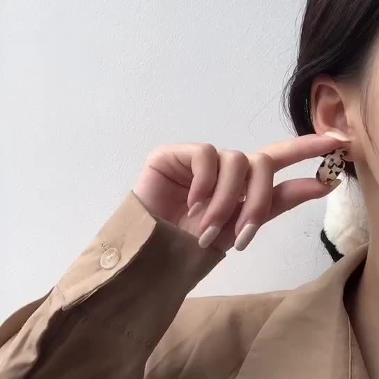 S925 Silver Needle Leopard Print Circle Earrings