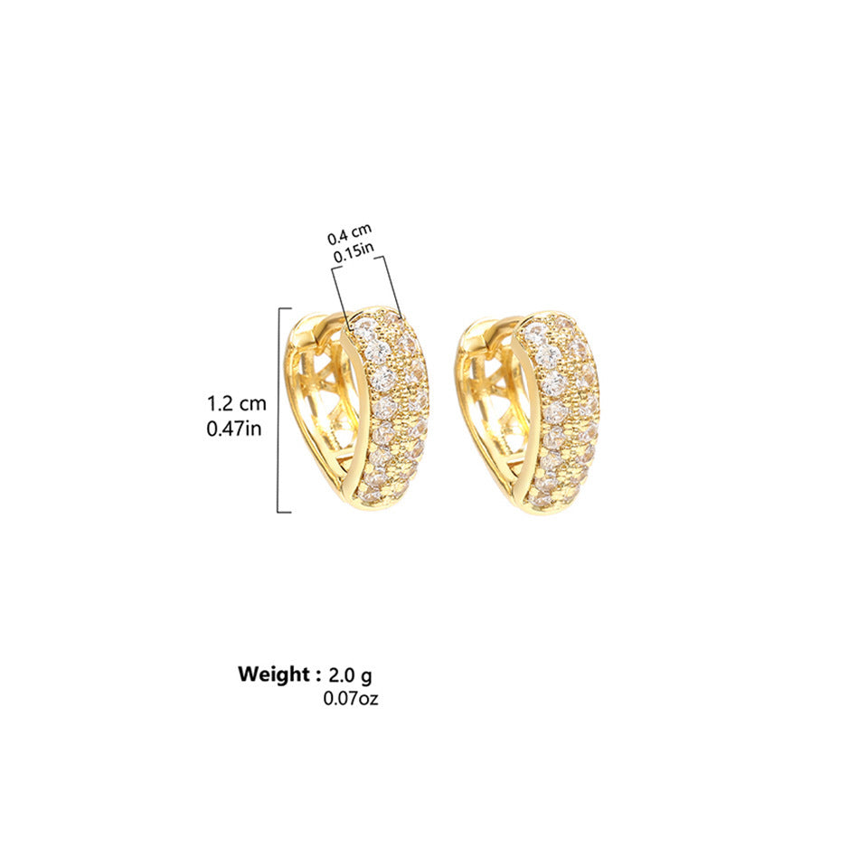 Stainless Steel Gold Plated Multi-drilling Zircon Earrings