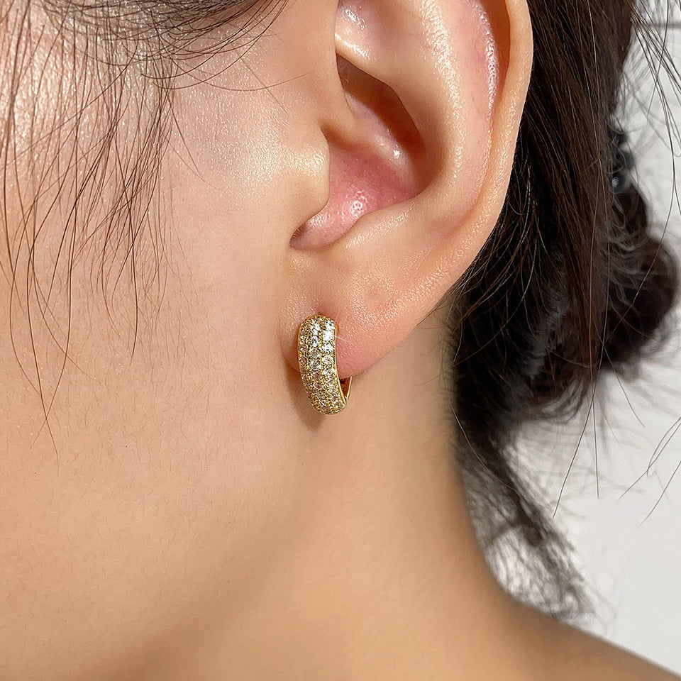 Stainless Steel Gold Plated Multi-drilling Zircon Earrings